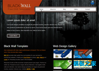 黑色墙体暗沉色网页模板