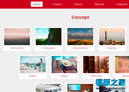 红色瀑布流图片站bootstrap网站模板