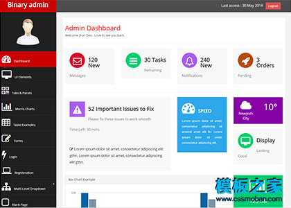 Binary admin后台管理系统bootstrap模板