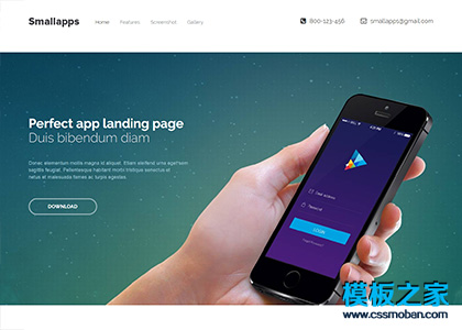 漂亮APP应用开发企业官网响应式模板