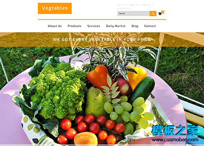 蔬菜批发市场html5网页模板