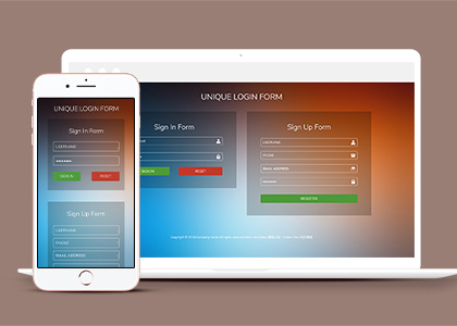 Sign Form html5登录模板