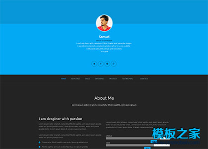 web UI Developer个人简历模板