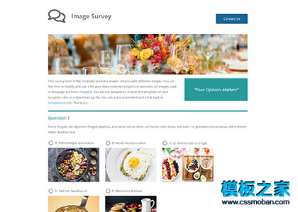 投票问卷调查专题html5模板