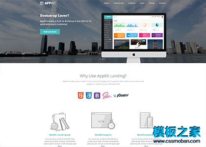 app制作响应式企业官网landing模板