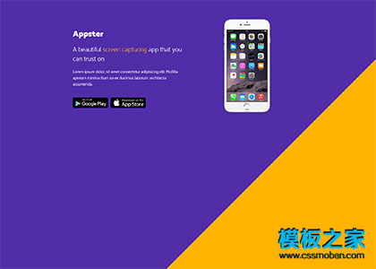 css3斜纹Appster公司开发官网模板