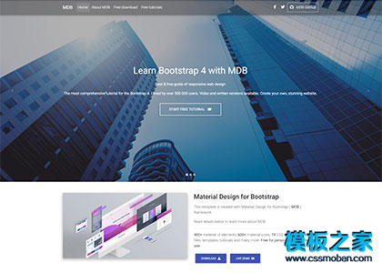 Bootstrap 4引导页单页html5模板