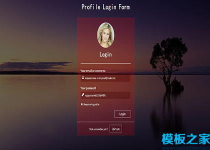 唯美注册登录响应式单页小部件web网站模板Profile