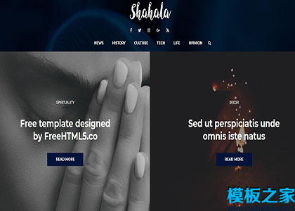 Shahala创意工作室响应式布局网站模板