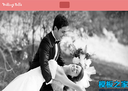 wedding bells浪漫唯美粉色页眉婚庆公司响应式网站模板