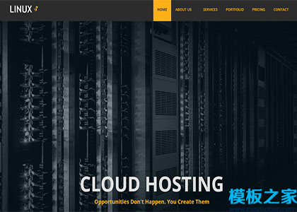 linux时尚平整现代高质量标准设计响应式多页网站模板