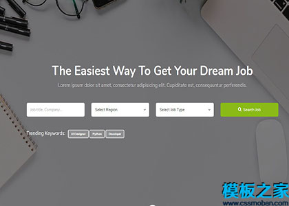 jobboard简式大气网站统计类自举响应式网站模板