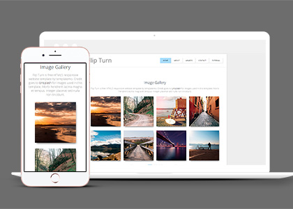 网格翻转效果自适应模式图片库网站web模板